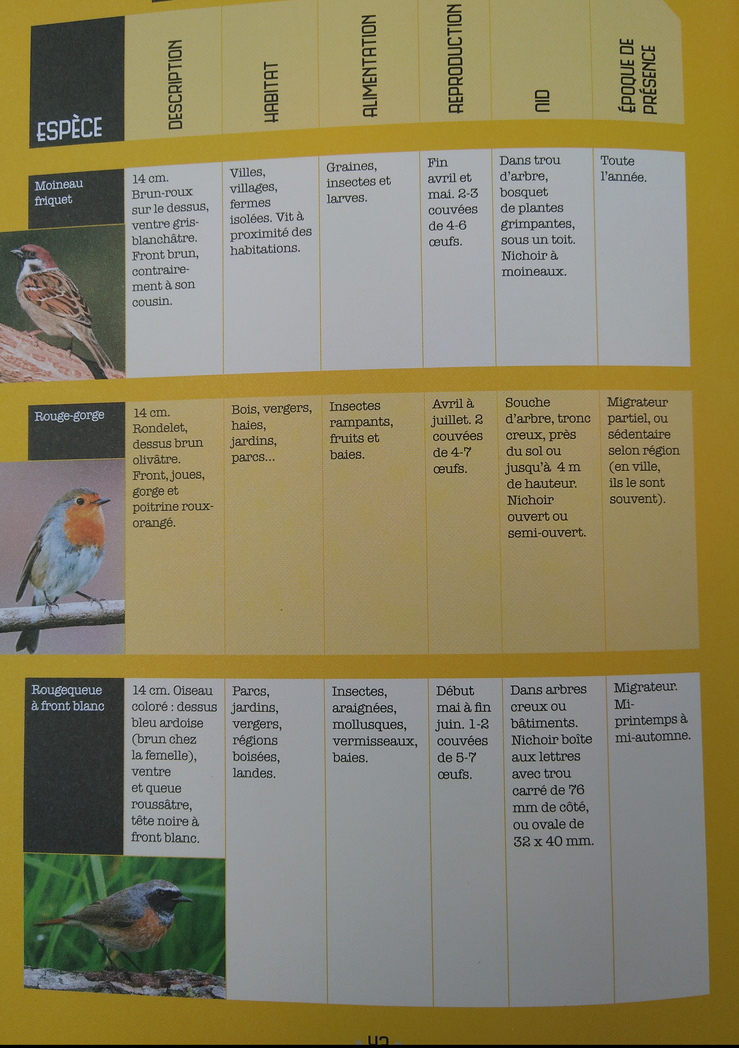 description du moineau, du rouge-gorge, et du rougequeue à front blanc