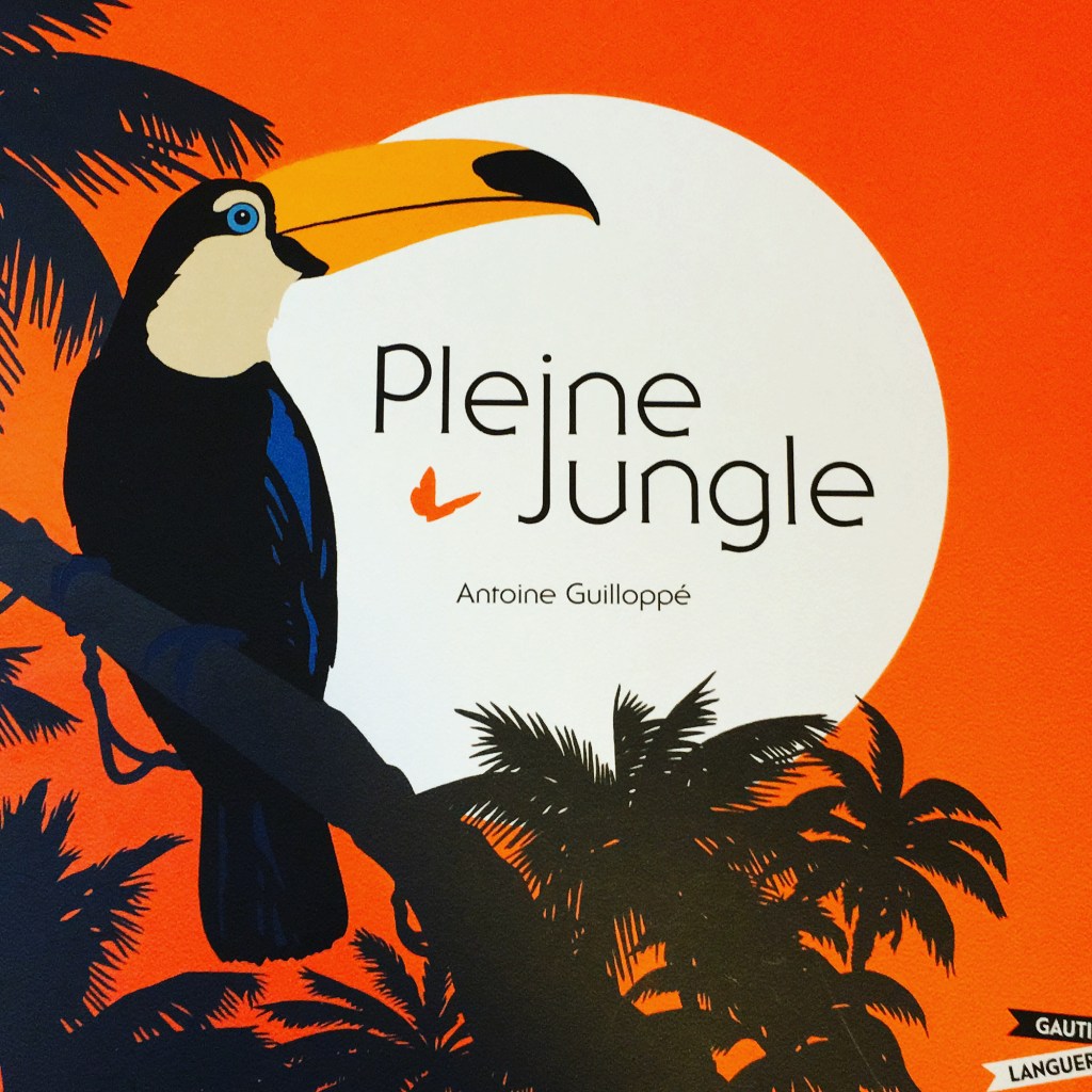 Un couché de soleil avec un toucan sur une branche