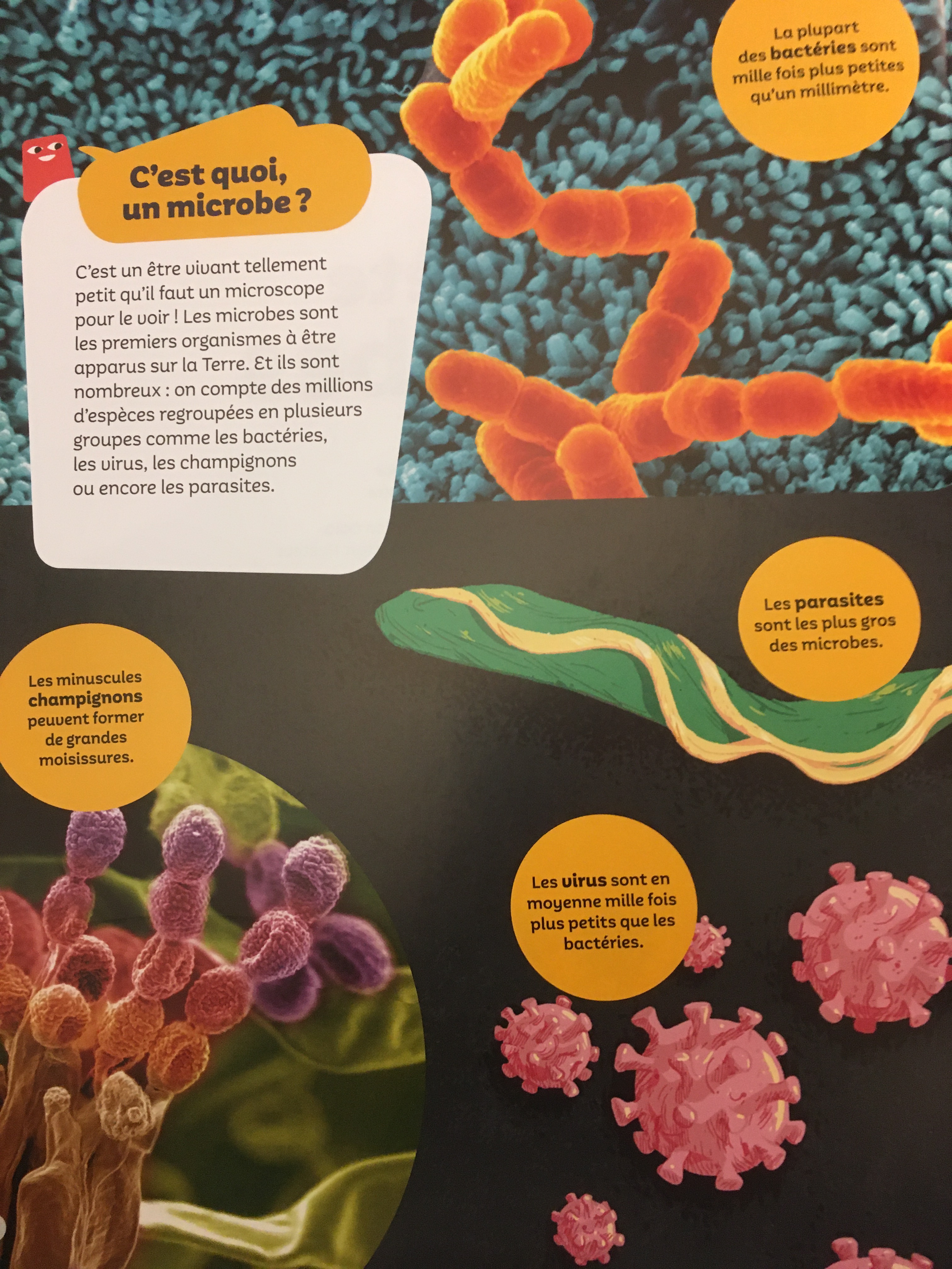 On découvre ce qu'est un microbe, les champignons, les parasites et les bactéries.