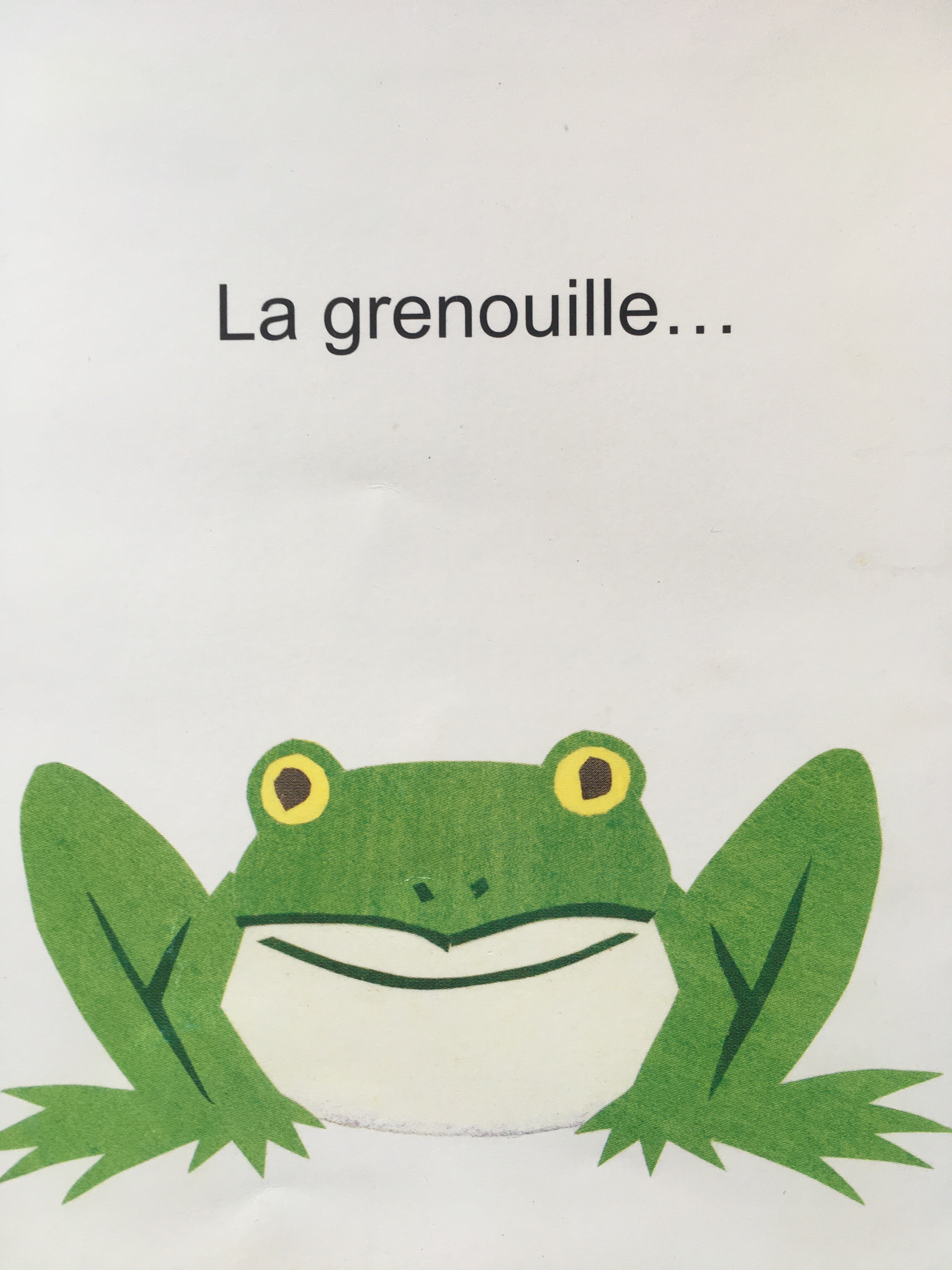 La grenouille au repos
