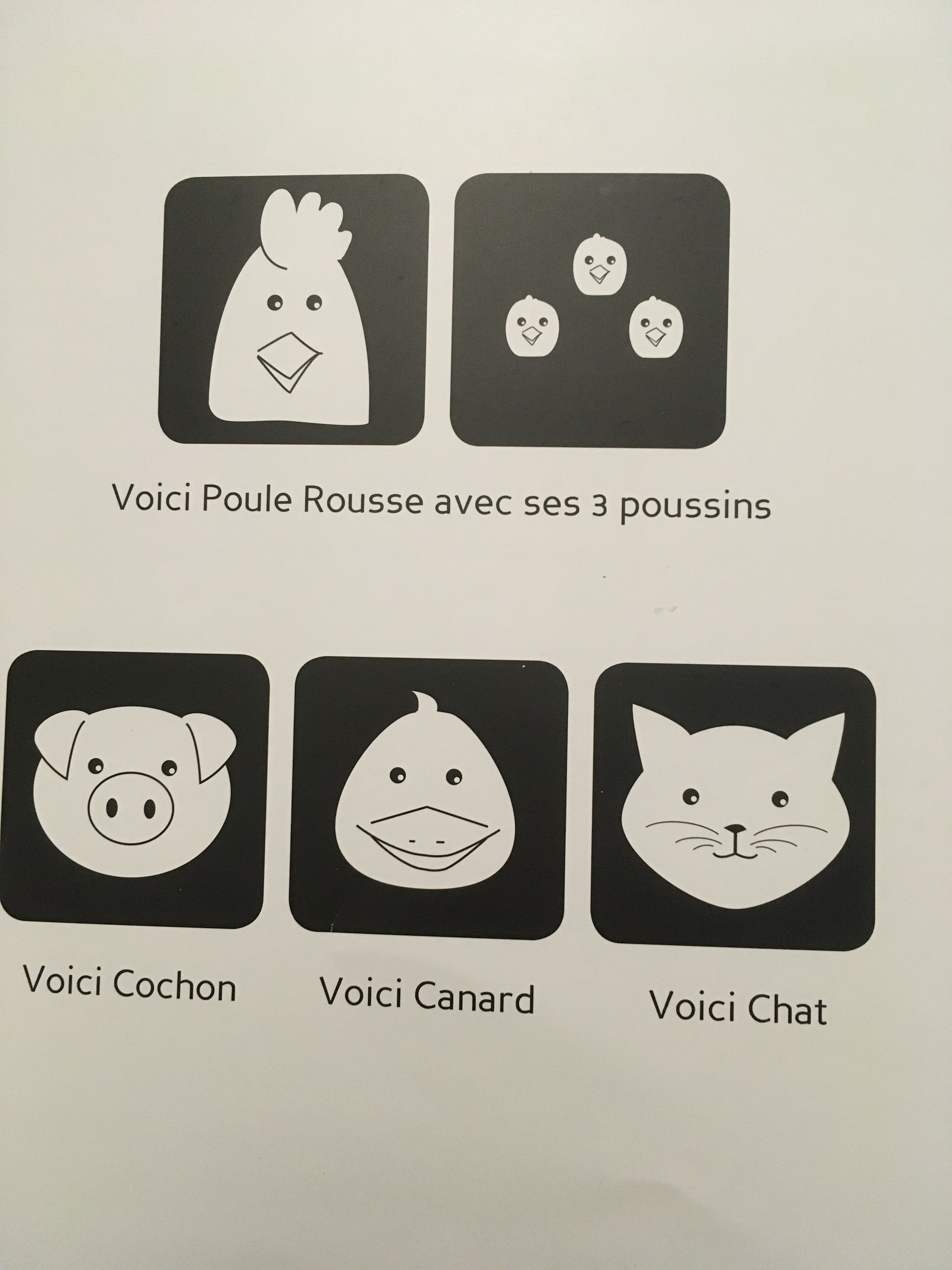 On peut voir la poule, les poussins, le cochon, le chat et le canard