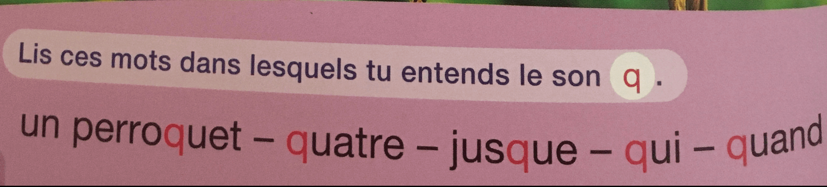 chapitre expliquant comment parle un perroquet