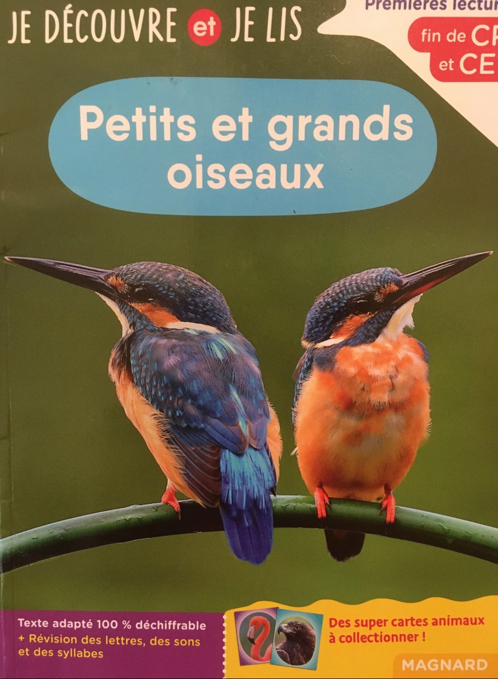 documentaire sur les oiseaux. Sur la différence entre les petits et les grands oiseaux.